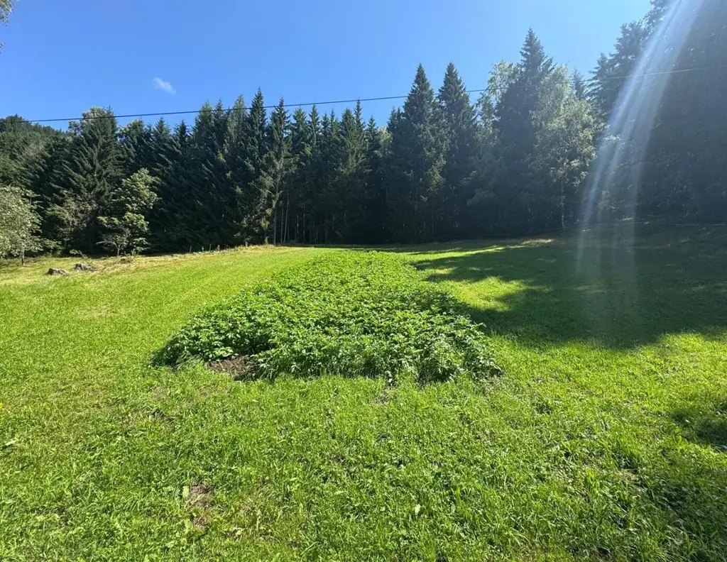 Grundstück in Oppenberg mit herrlichem Weitblick auf die umliegenden Berge und die Natur!