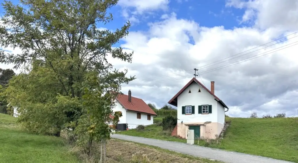 ** FÜR GENIESSER **  Schickes Kellerstöckl mit feiner Ausstattung am Gaaser Weinberg !!
