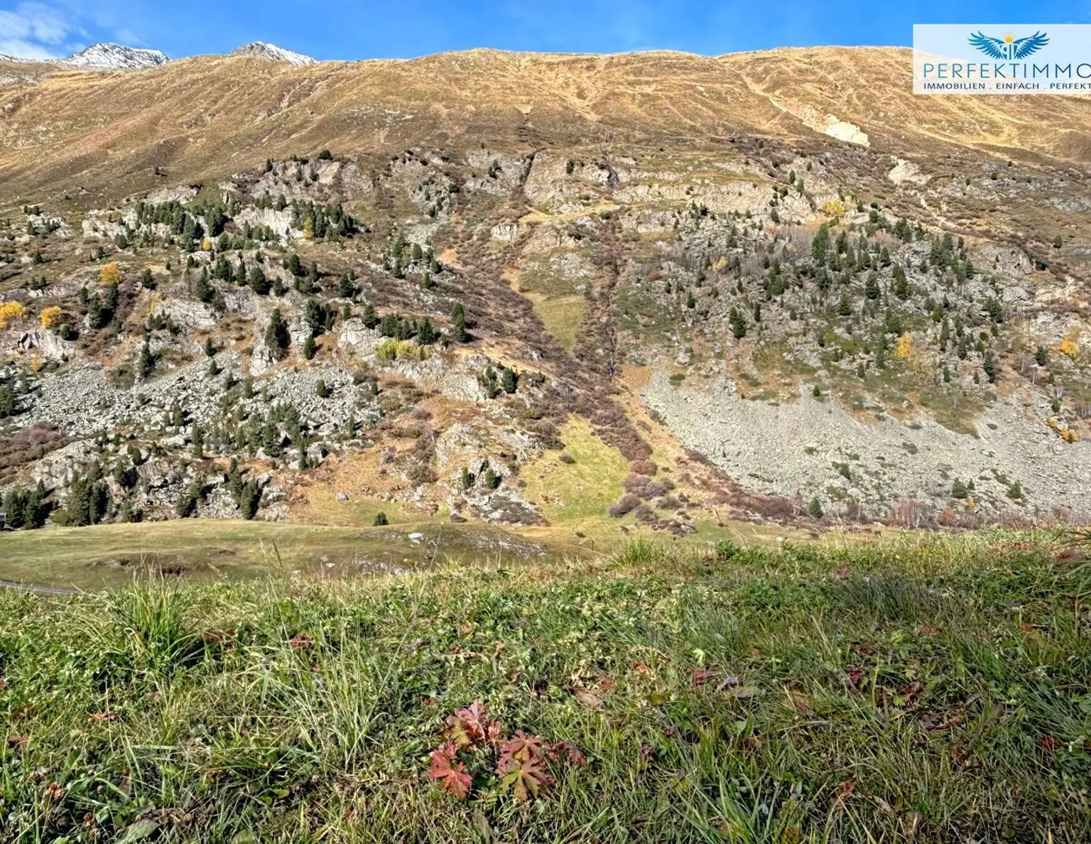 Baugrund in sonniger Lage