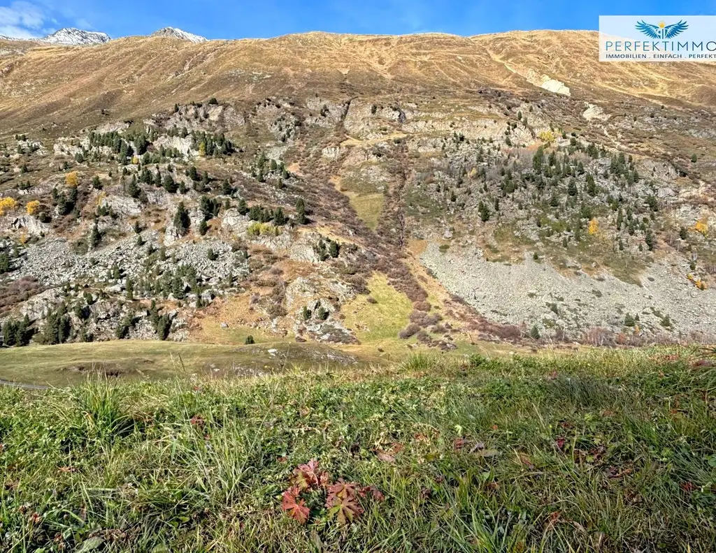 Baugrund in sonniger Lage