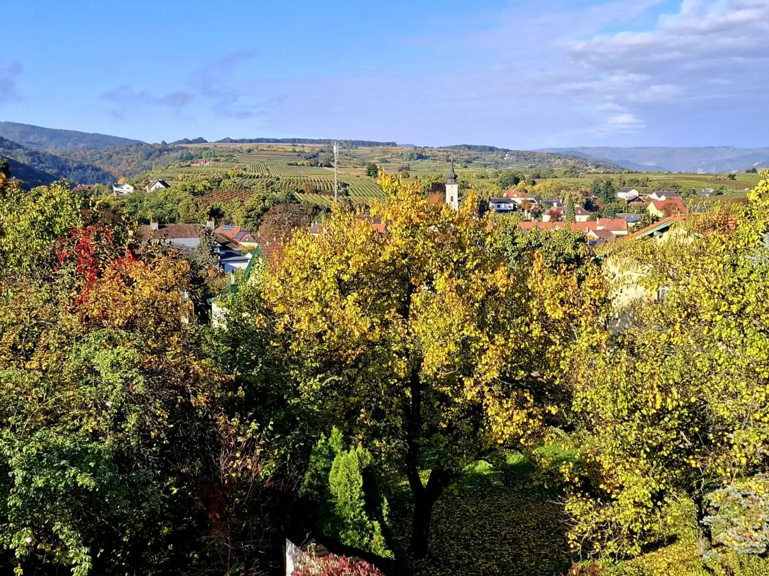 Impressionsfoto  4 (1)