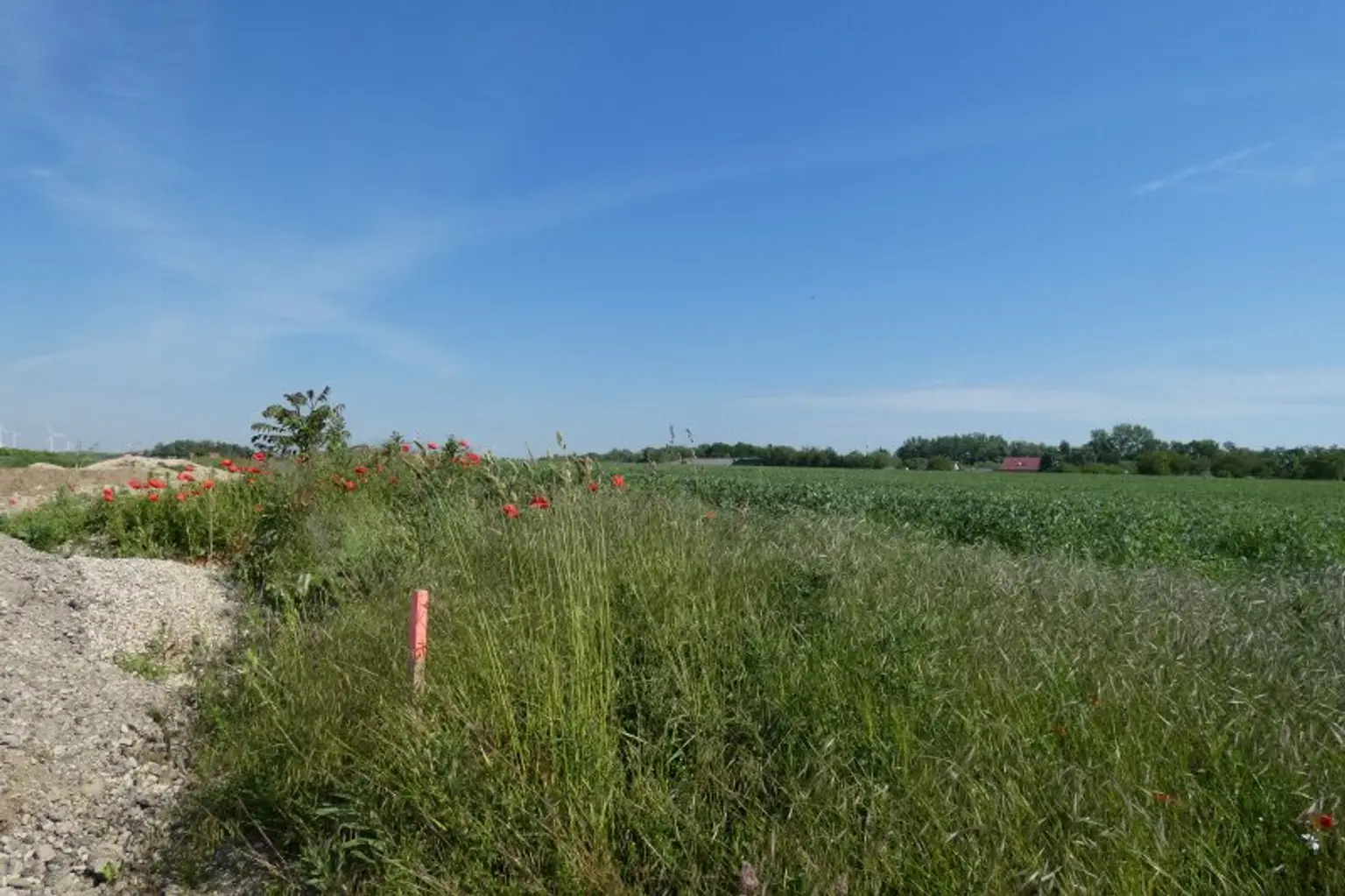 ECKGRUNDSTÜCK INMITTEN SCHÖNER NATUR NÄHE WIEN BRATISLAVA