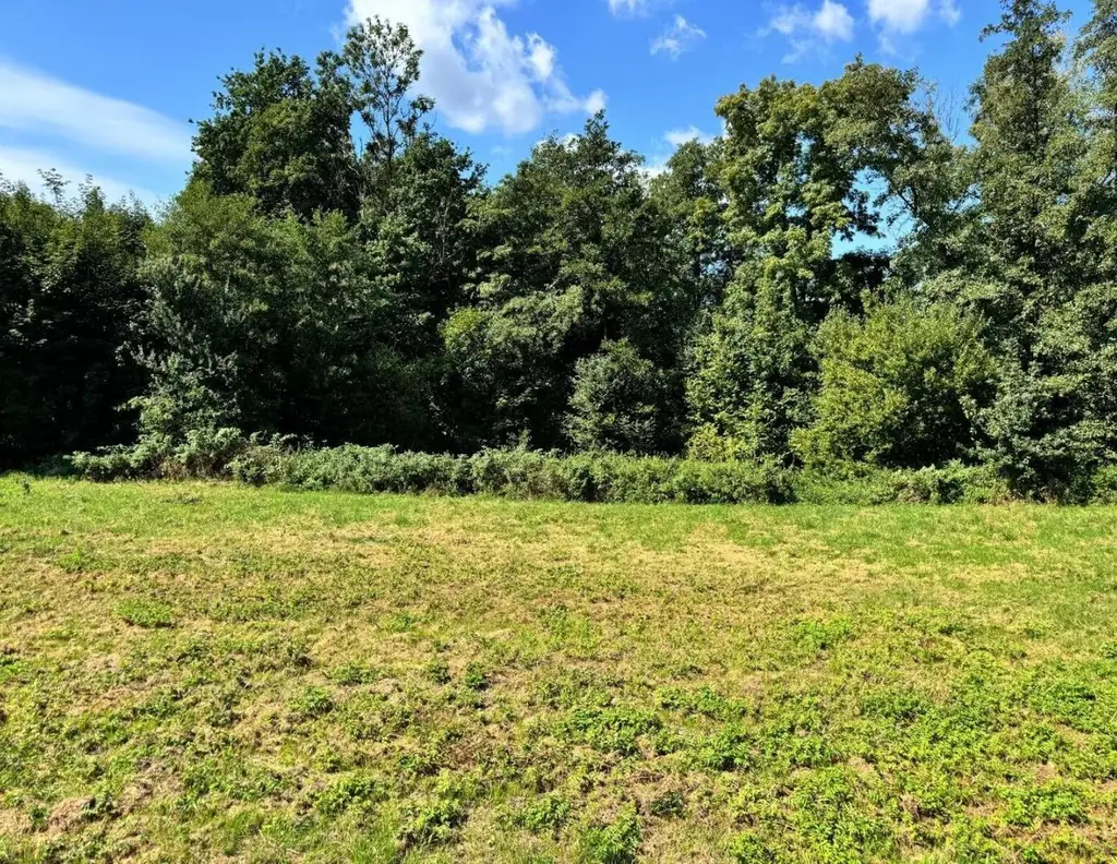 Schönes & sonniges Baugrundstück in Andorf: 1371 m² für Ihr Eigenheim!