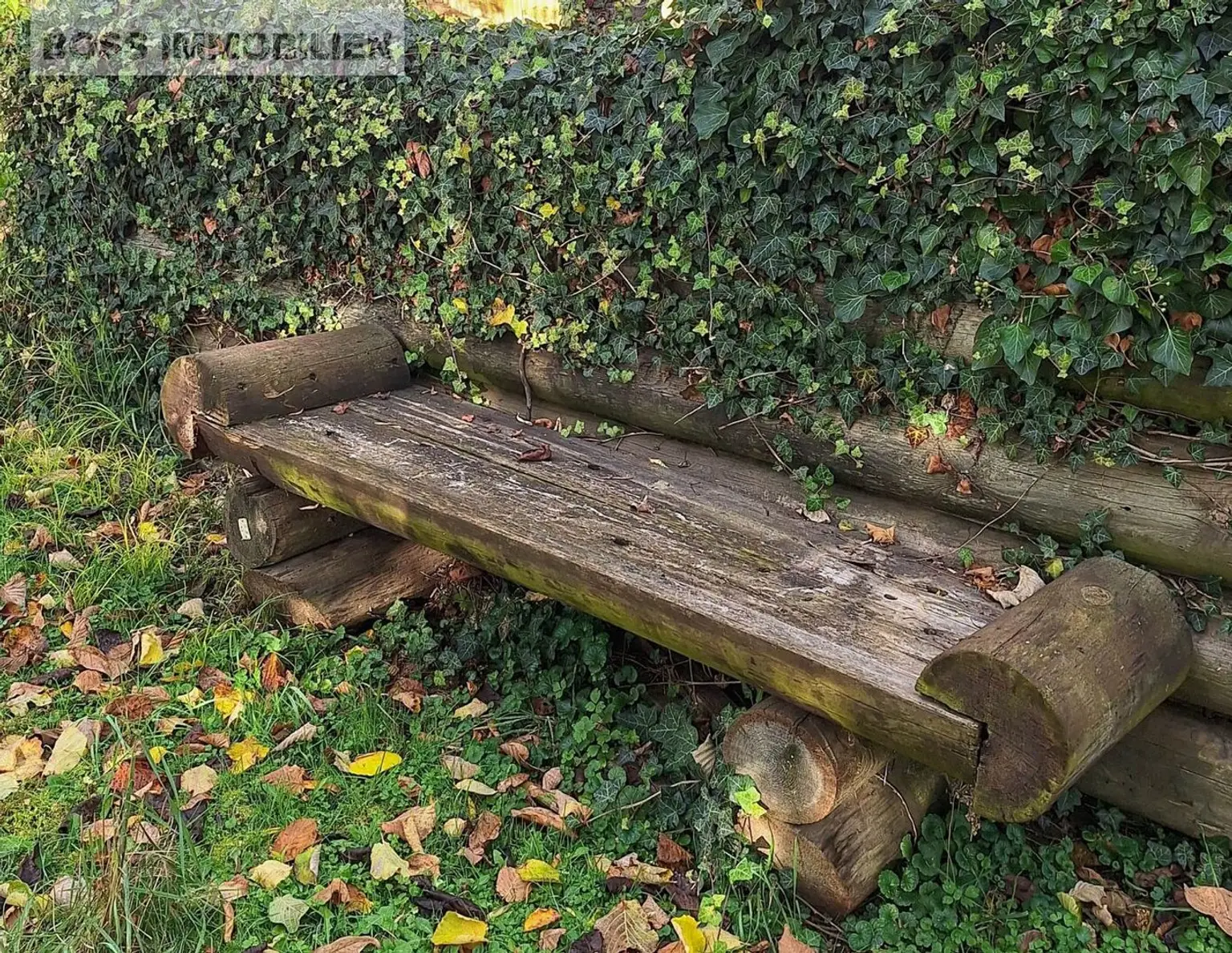 Naturnahes Paradies | Schrebergarten mit Gartenhütte