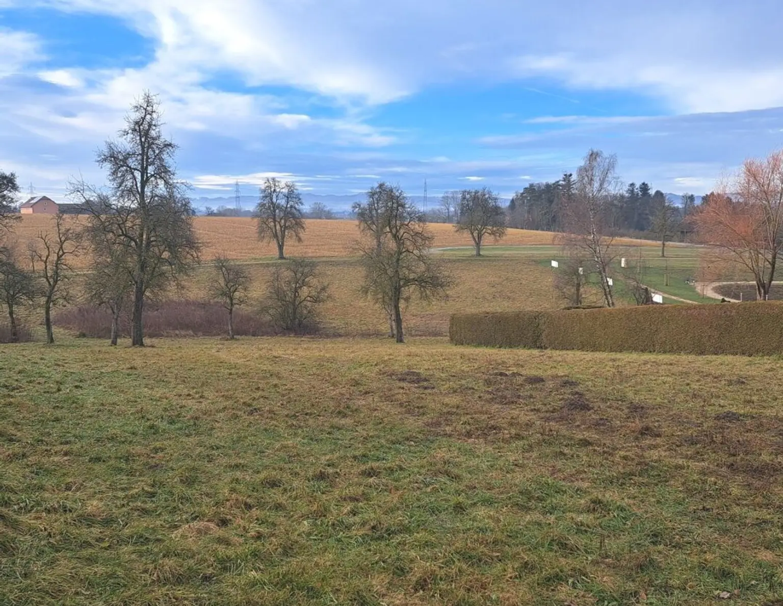 Aistersheim: Bau- und Landwirtschaftsgrund 5104m², herrliche Zentrumslage!