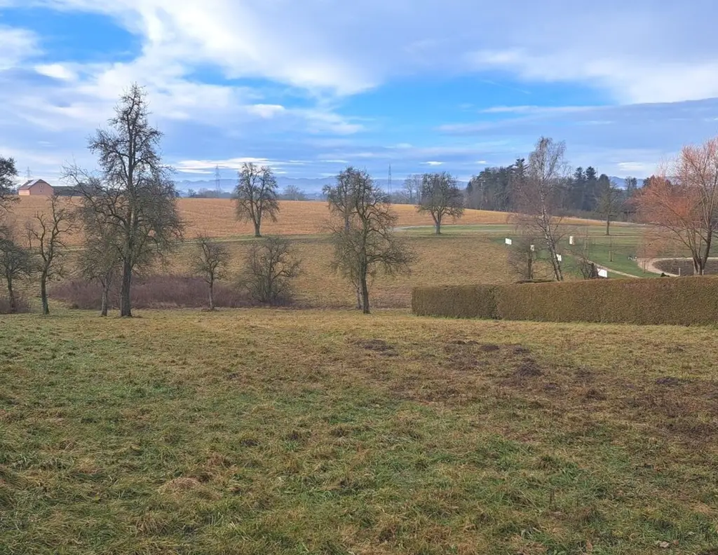 Aistersheim: Bau- und Landwirtschaftsgrund 5104m², herrliche Zentrumslage!