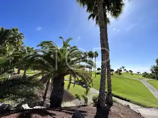 e0982d58-2f15-4778-8439-162b5db3cb78_1_102_o_52491032115_o