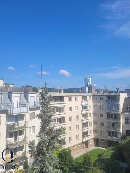 "Diese 5 Zimmer-Altbauwohnung mit sonniger Terrasse wartet genau auf SIE"