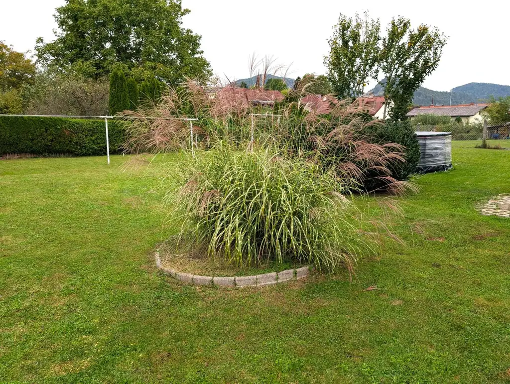 Wohnung  in ruhiger Traumlage zu mieten