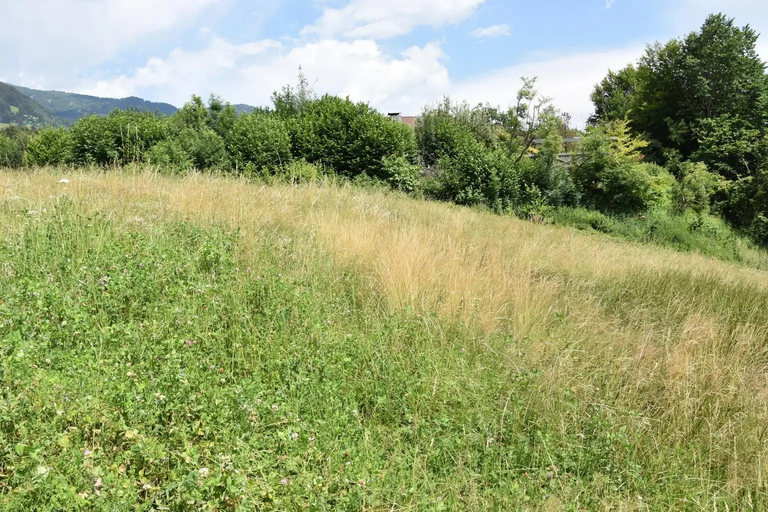 Nordostblick