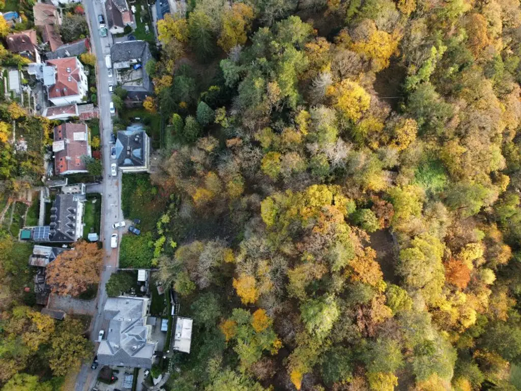 Bauträger und Privat-Häuslbauer AUFGEPASST! DREI Baugrundstücke in besonders schöner Villen-Grünruhelage! Inkl. Bebauungskonzept bzw. Vorplanung!