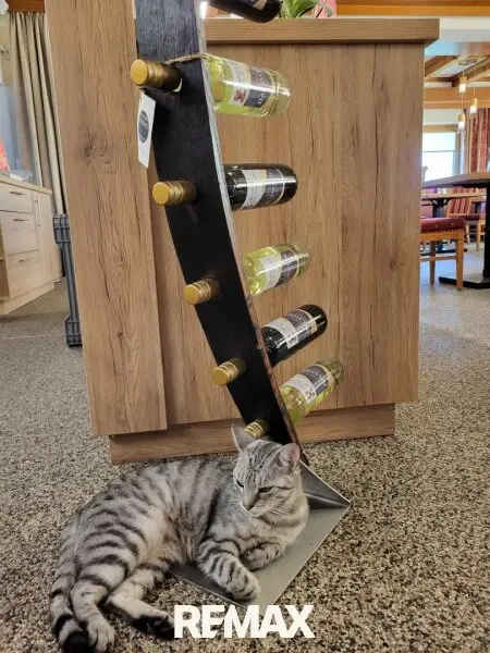 Katze und Wein