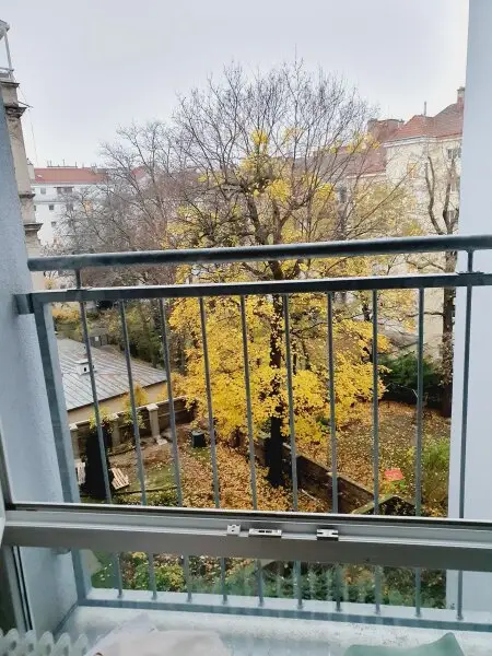 Traumhafte Familienwohnung beim Alois Drasche Park