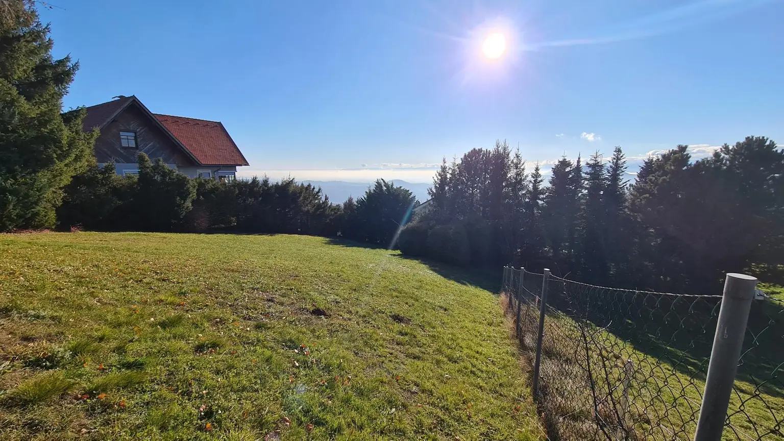 Grundstück