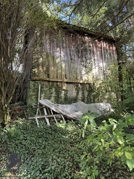 Einfamilienhaus mit großem Keller und traumhaftem Wald-Blick