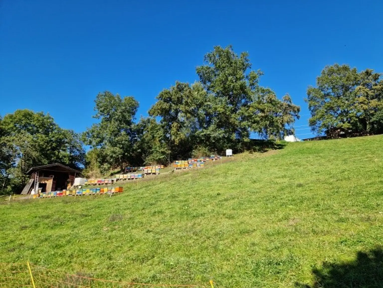 Mein Platz an der Sonne !   Schöne Baugrundstücke in Aussichtlage - oberhalb von Seeboden am Millstättersee - ab € 131.250,-