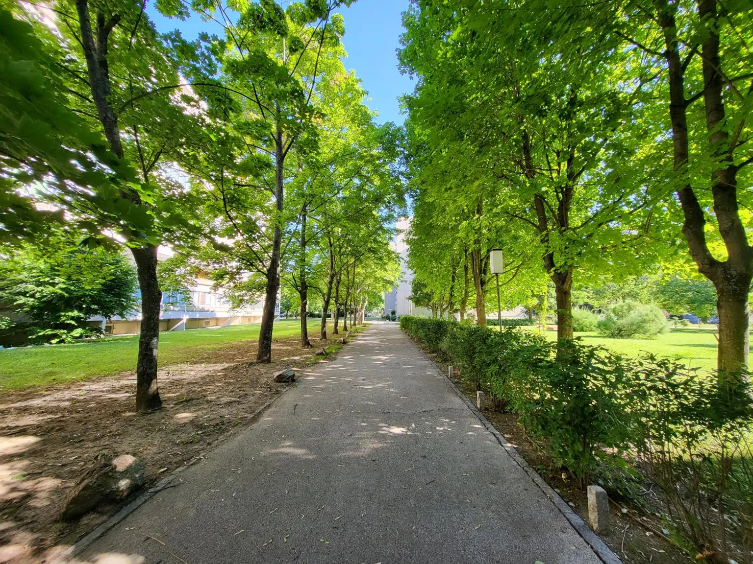 HELLE 2-ZIMMERWOHNUNG MIT GROSSER LOGGIA