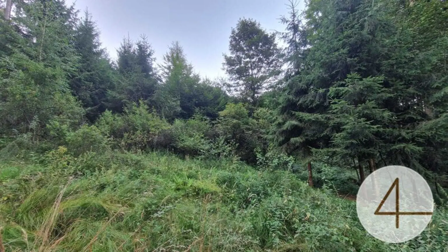 Ackerfläche von 8,8ha zu verkaufen