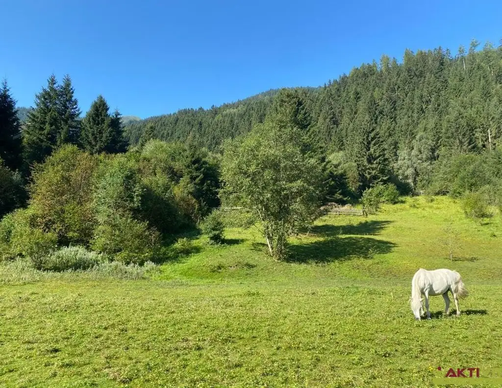 Wohnen im Herzen der Alpen - Baugrundstück in malerischer Umgebung in Donnersbachwald.
