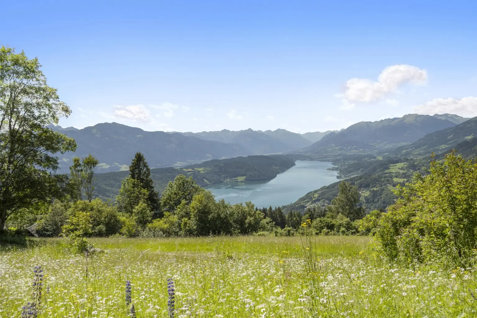 Almwiesen und der See