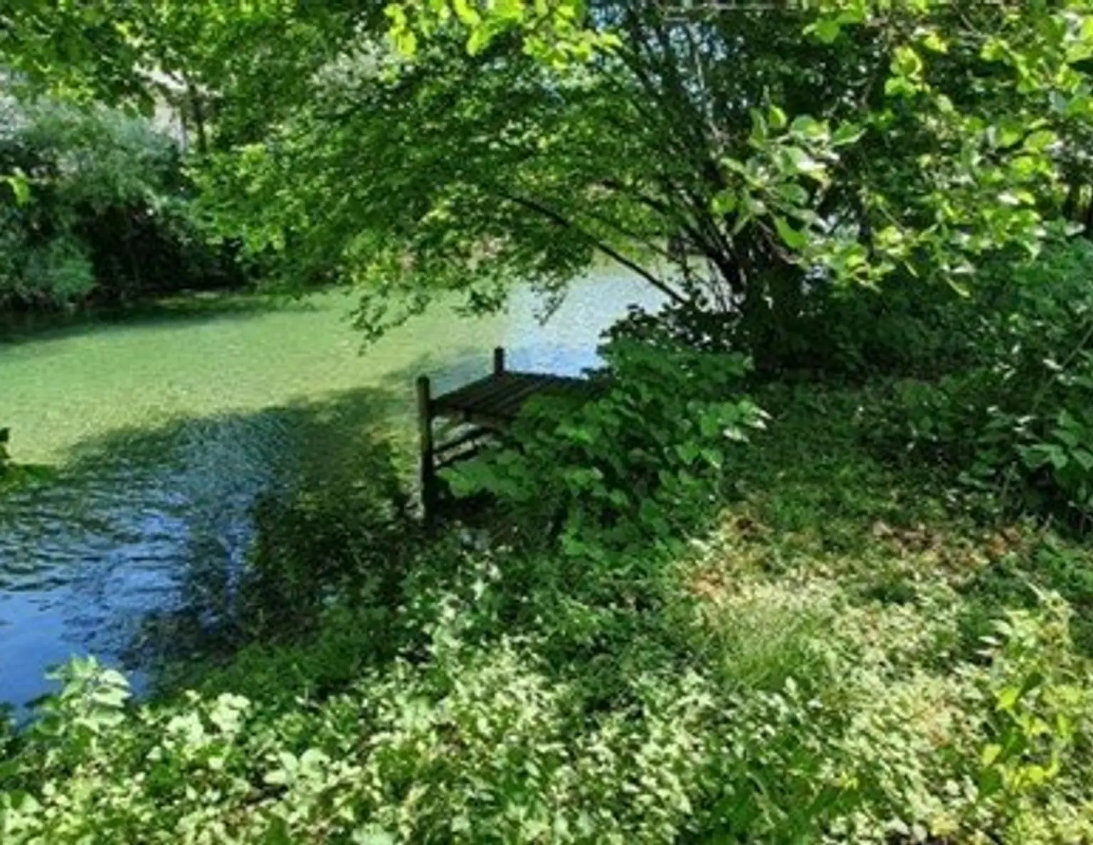 Rarität! Baugrundstück mit Altbestand im Grünen zwischen Attersee und Mondsee