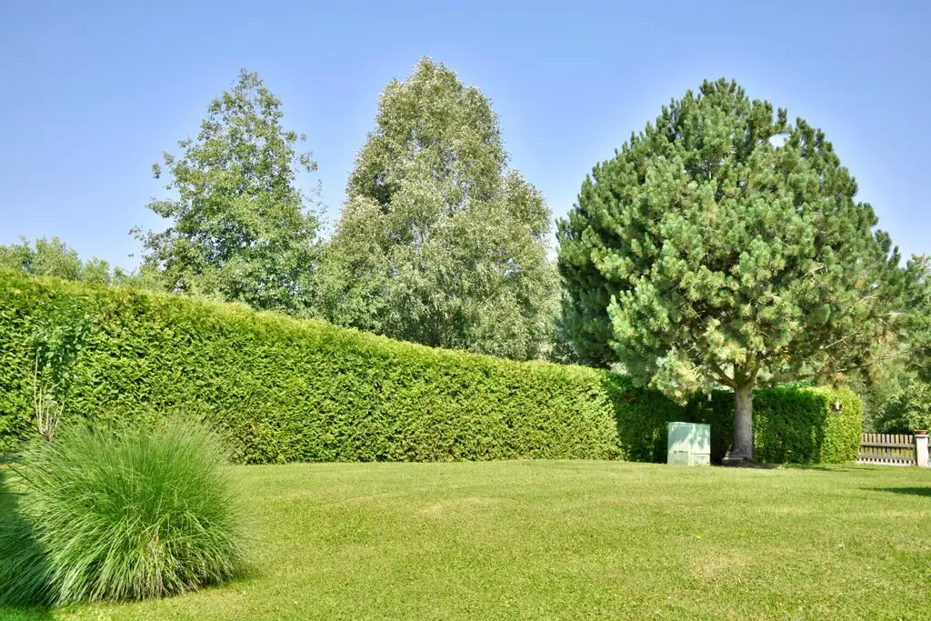 Vollunterkellerter Bungalow mit großem sonnigen Grundstück