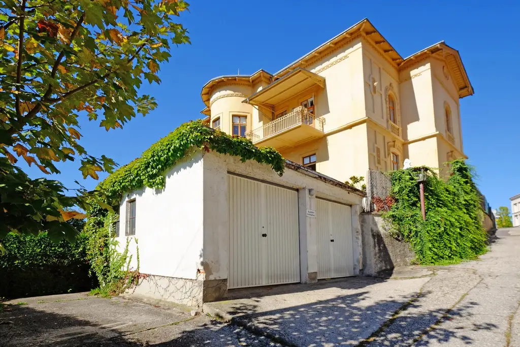 Historische Villa ALMEROTH im Stadtzentrum- Wohnen auf 250 m2 im OG plus 4 Untermieter