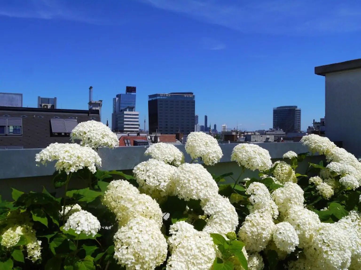 DIE PERFEKTE STADTWOHNUNG MIT GEMEINSCHAFTS-DACHTERRASSE NÄHE STEPHANSPLATZ
