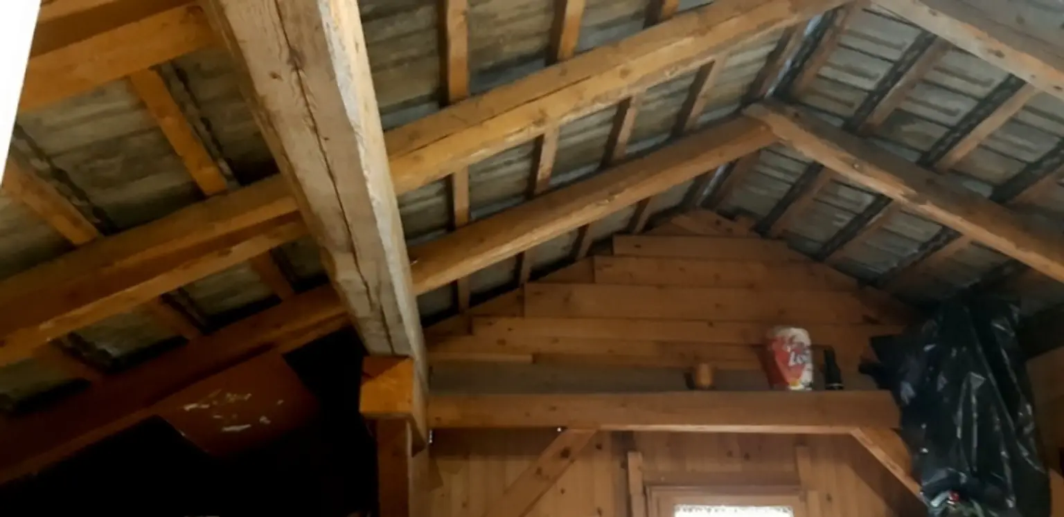 Rarität ! Ferienhaus im wunderschönen Defereggental