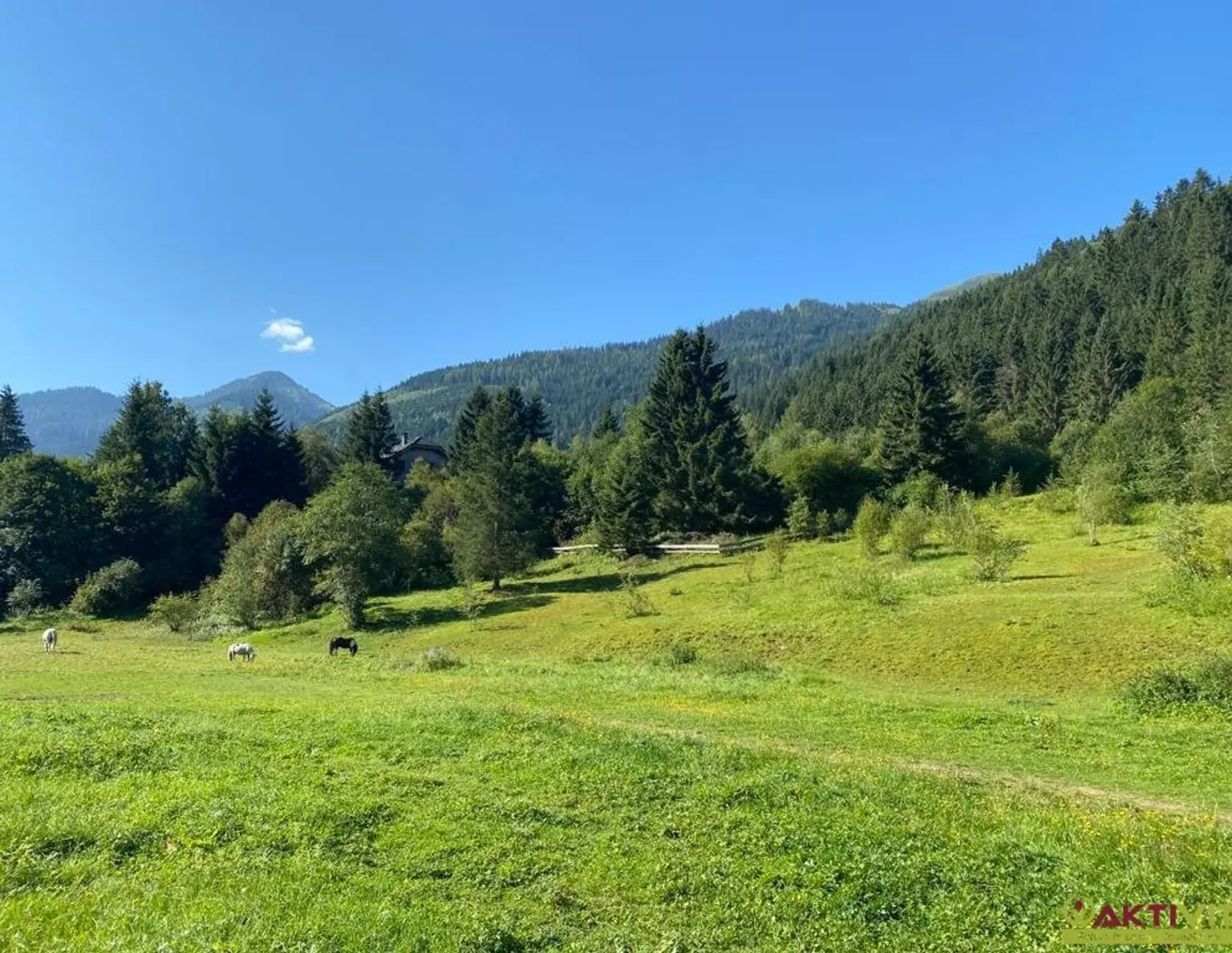 Wohnen im Herzen der Alpen - Baugrundstück in malerischer Umgebung in Donnersbachwald.