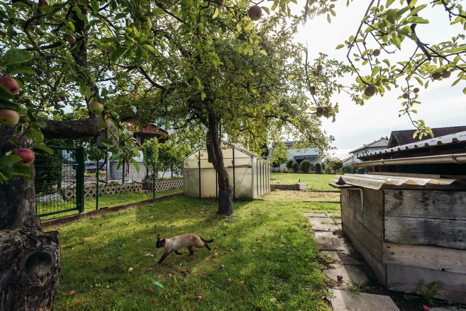 8054 Strassgang - Idyllische Liegenschaft zum Bauen, Pflanzen, Leben mit ca. 5000 m² und Altbestand in ruhiger Sackgassenlage