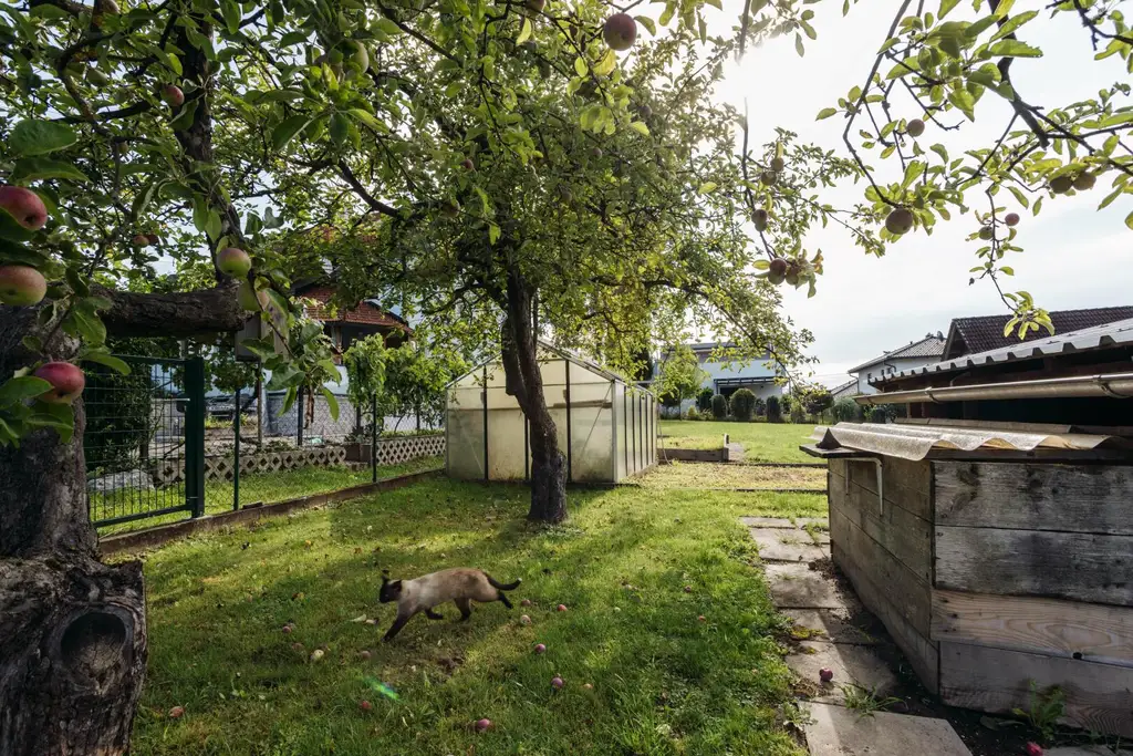 8054 Strassgang - Idyllische Liegenschaft zum Bauen, Pflanzen, Leben mit ca. 5000 m² und Altbestand in ruhiger Sackgassenlage