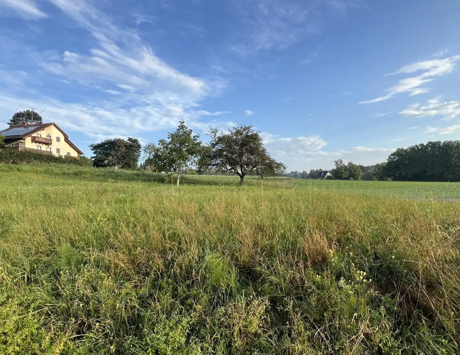 Traumhaftes Sonnengrundstück in St. Peter mit genehmigter Einreichplanung