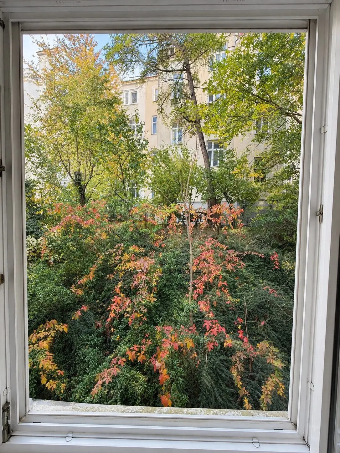 Ausblick