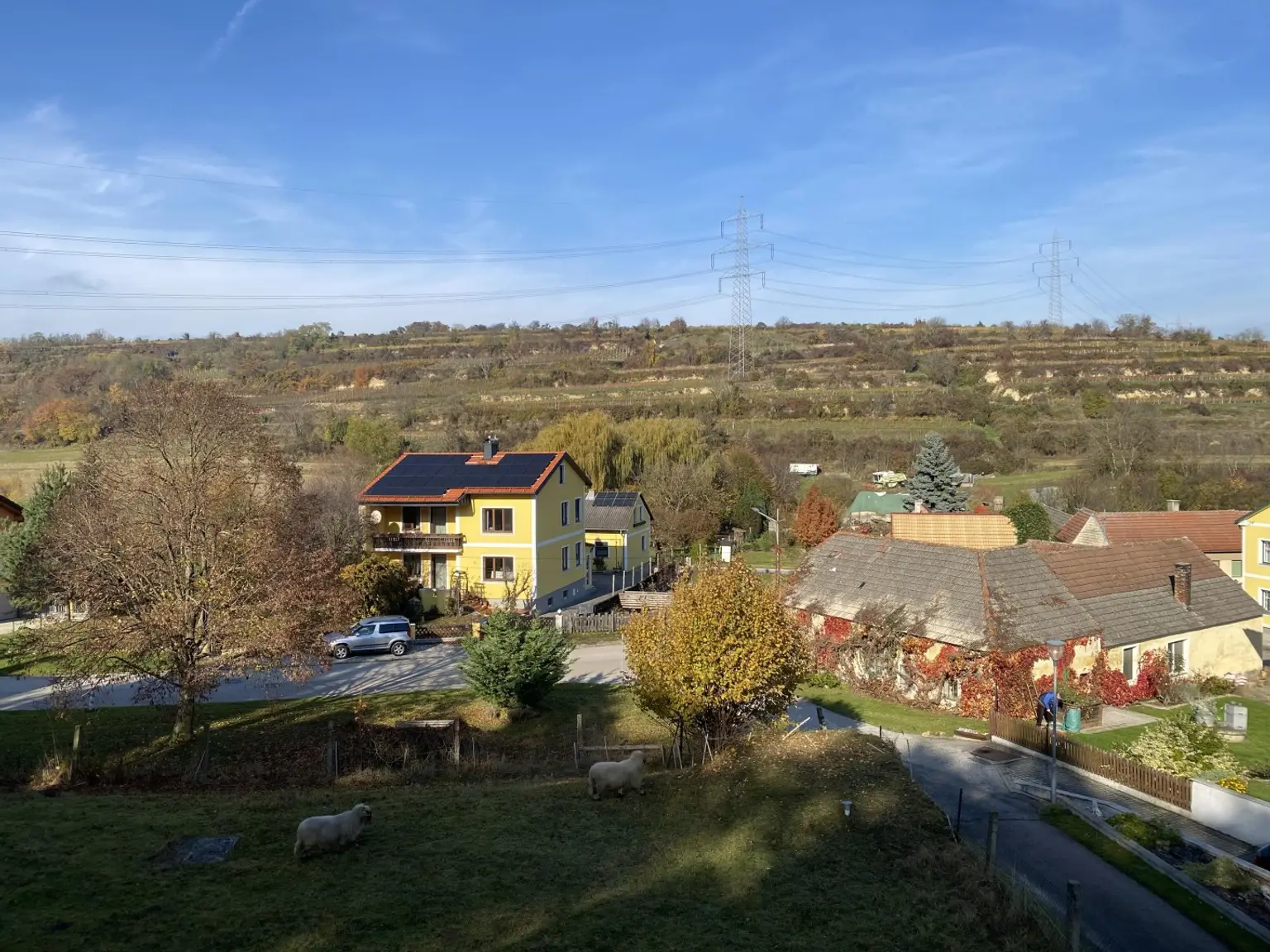"Jahrhundertwende Stilhaus mit Wald"