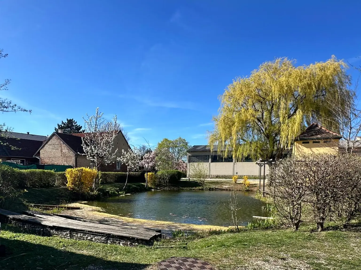 Ortsteich in Unterstinkenbrunn