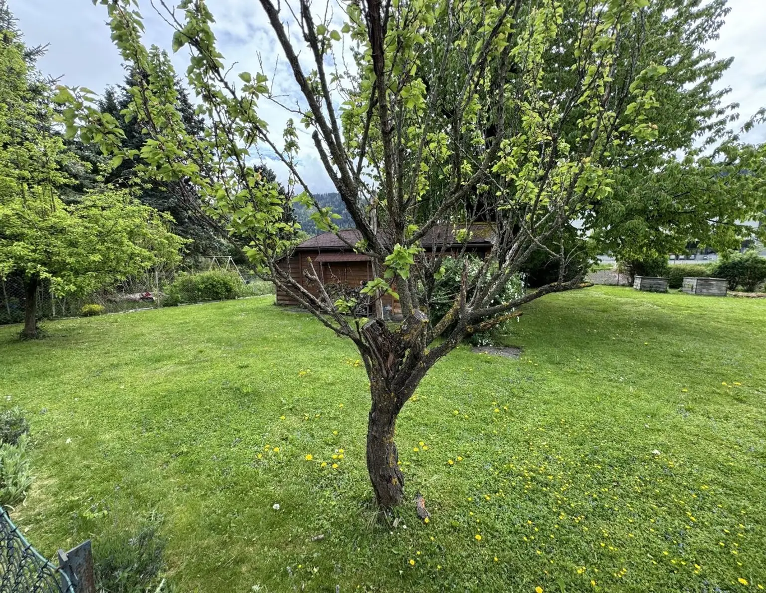 Günstiges Baugrundstück in Hall in Tirol für € 850.- / m² !