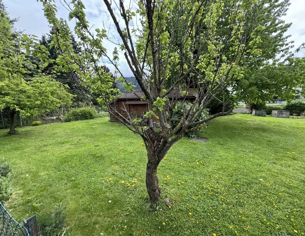 Günstiges Baugrundstück in Hall in Tirol für € 850.- / m² !