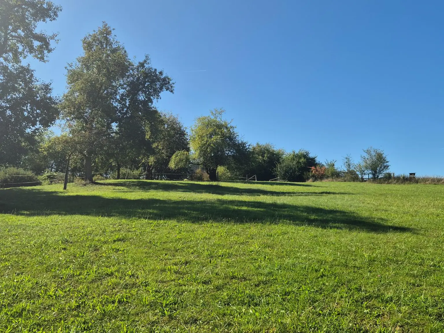 Wunderschöner Dreikanthof in Ruhelage mit Reithalle