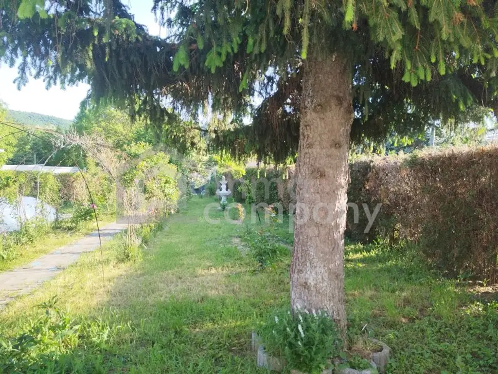 Entzückendes  komplett saniertes Kleingartenhaus auf Eigengrund mit wunderbarem Garten in Ruhelage