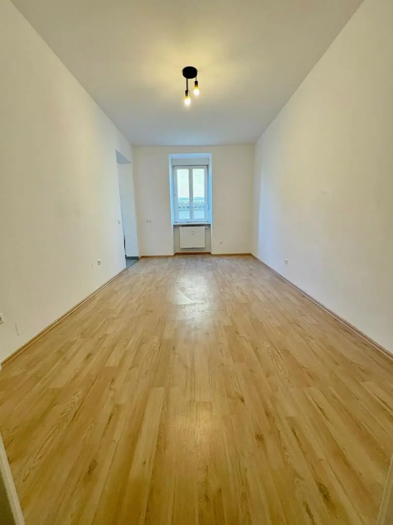 Wohn-/Essbereich mit offener Küche