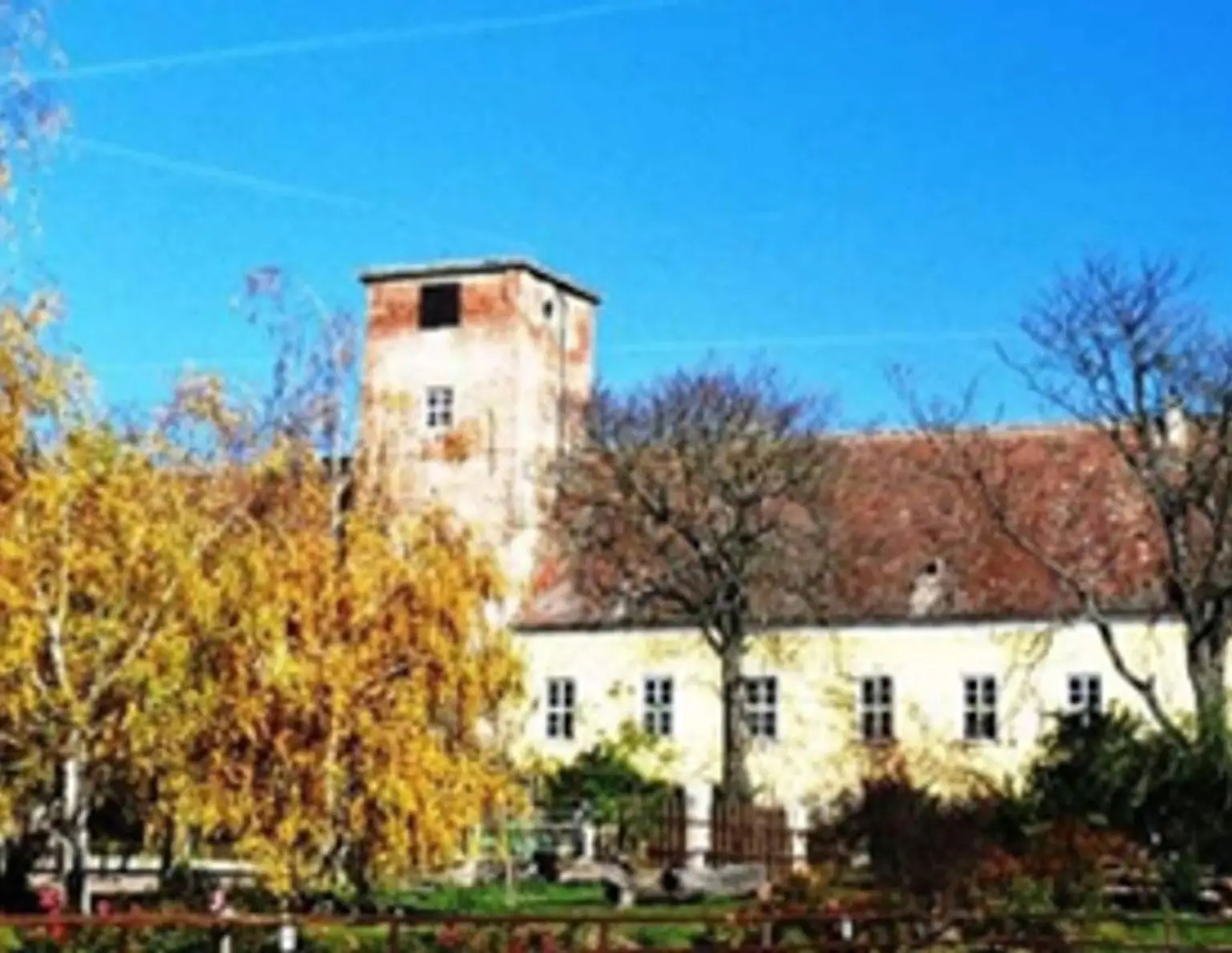 Reitgut Schloß Niederabsdorf