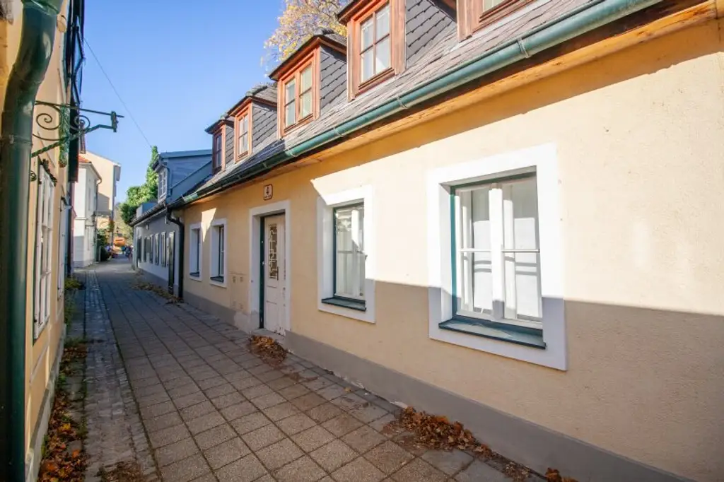 Charmantes Landhaus im Schlossergäßchen – Ruheoase im Herzen von Baden