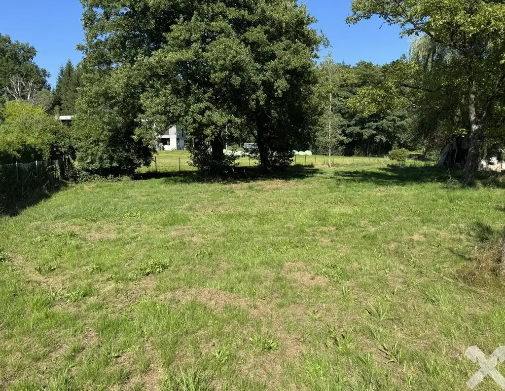 Idyllisch Leben - Grundstück mit altem Baumbestand und Teich