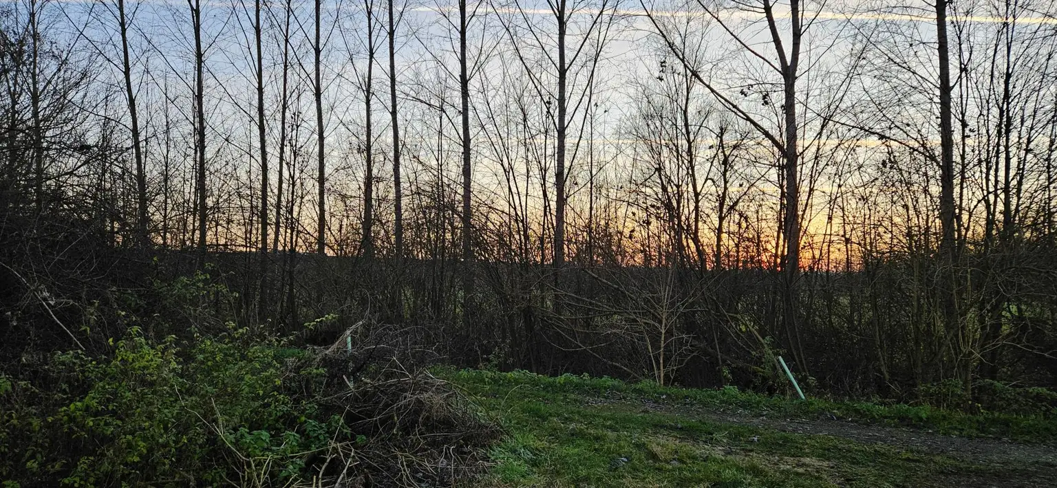 Widmung Wald, Weg Richtung 2.Hütte