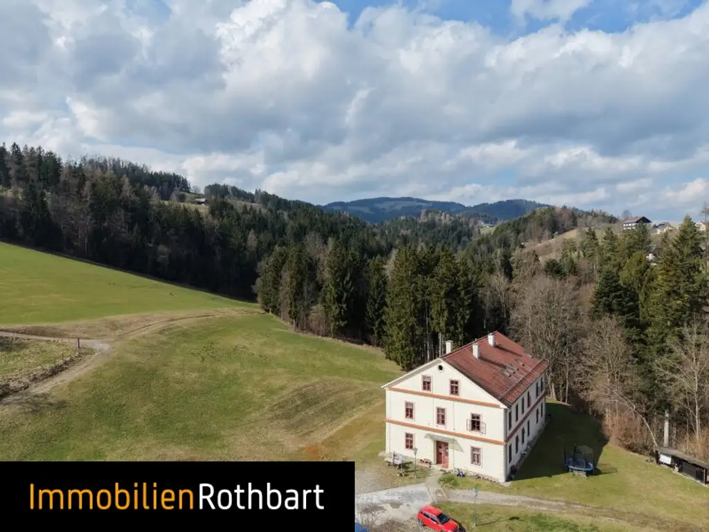 Wald mit Wiese und Zinshaus!