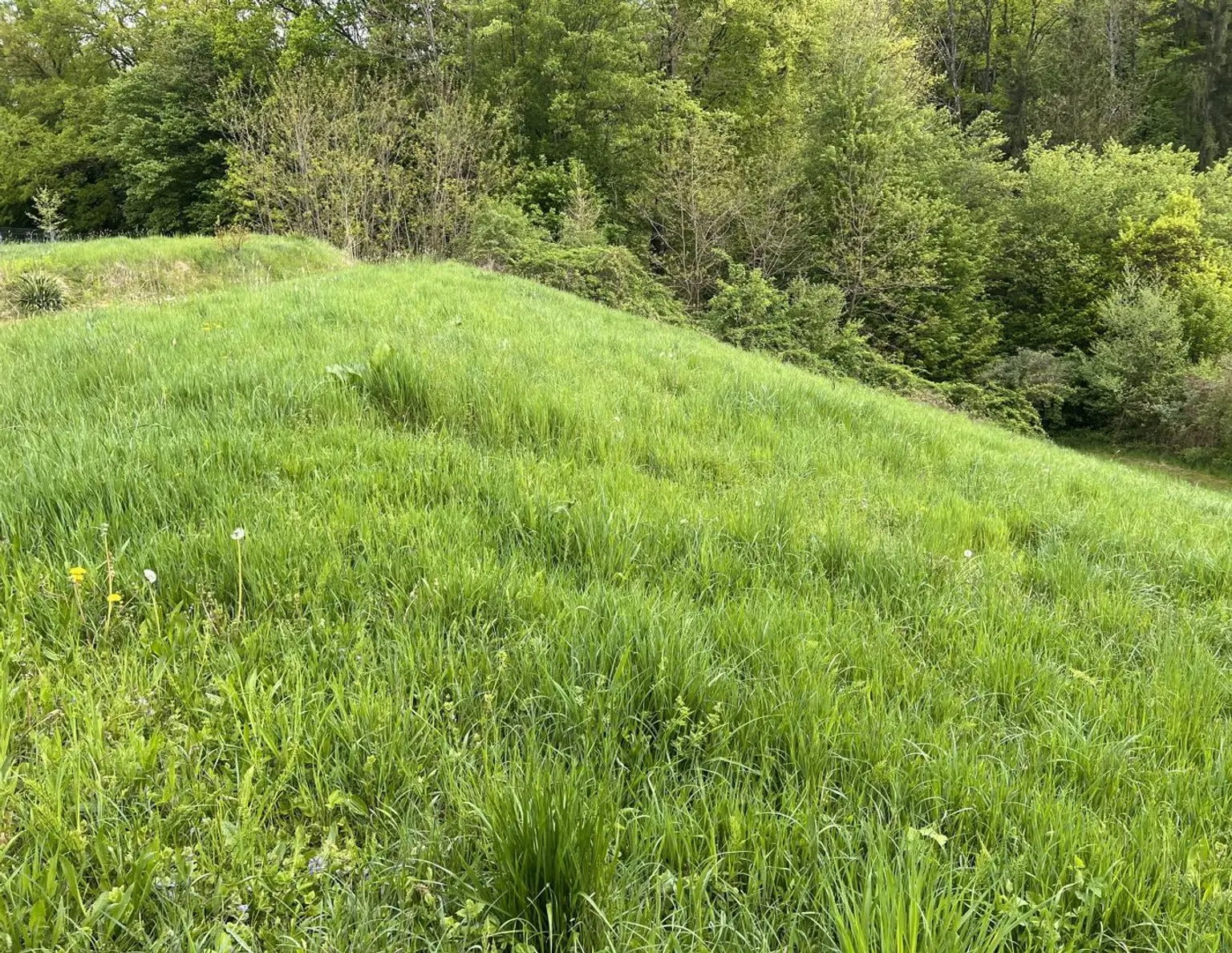 Baugrundstück in Sinabelkirchen - Ruhig, sonnig & zentrumsnah