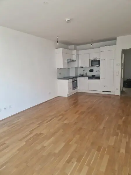 Wohnbereich / offene Küche