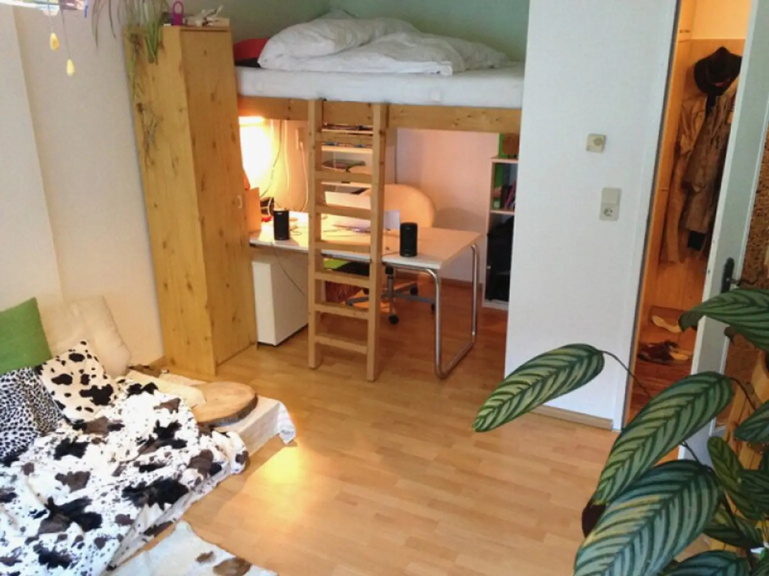 Hübsche Starterwohnung mit Balkon und Autoabstellplatz in perfekter Lage!