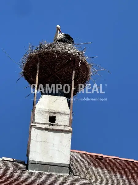 CAMPO-VILLA: Vintage-Architektenhaus in RUST für Wohnen und Freizeit
